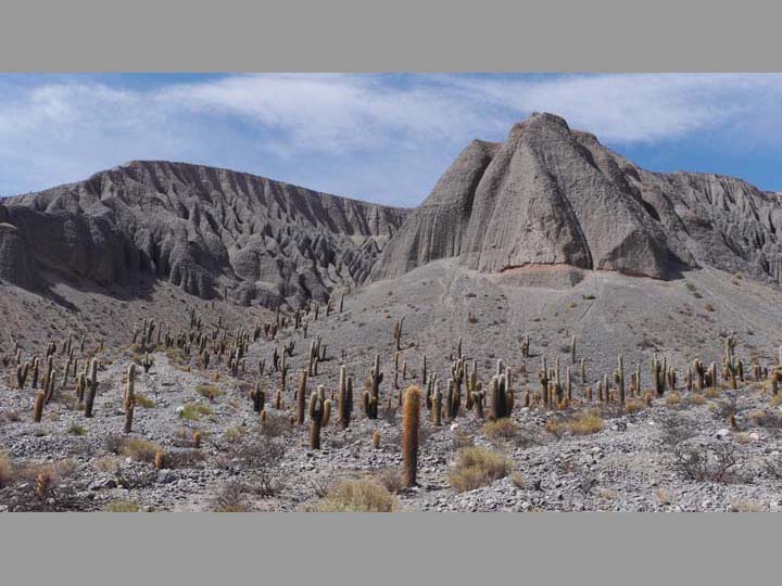 Karge Landschaft - Argentinien